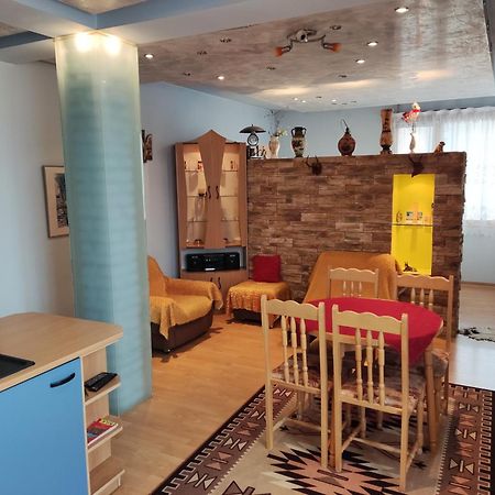 Rila Apartment サモコフ エクステリア 写真