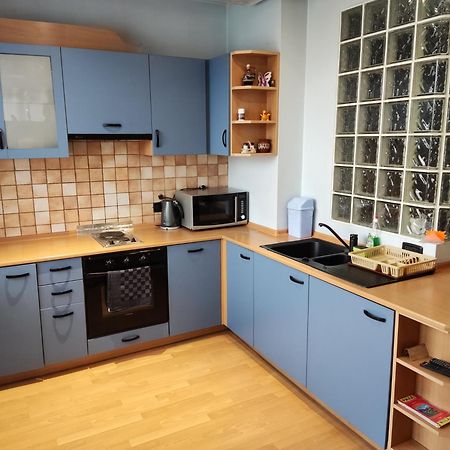 Rila Apartment サモコフ エクステリア 写真